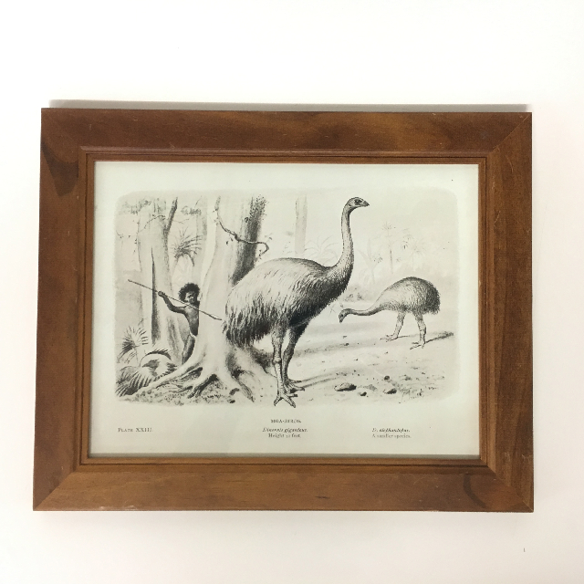 ARTWORK, Australiana (Small) - Emu Hunt